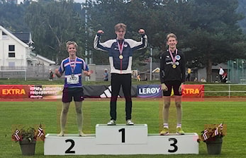 Sterkt av Johannes Aune Hanseth